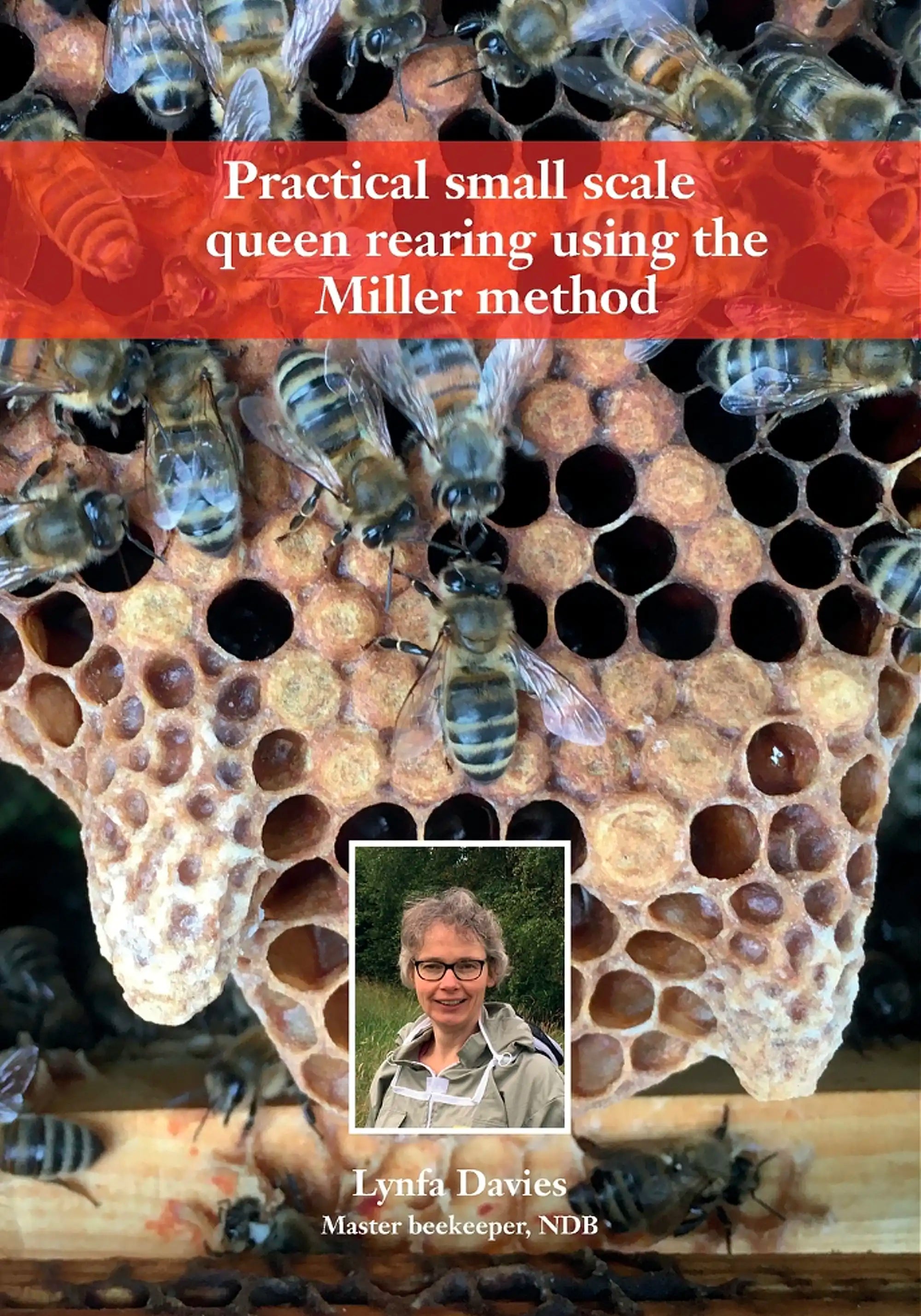 Practical Small Scale Queen Rearing Using the Miller Method by Lynfa D ...