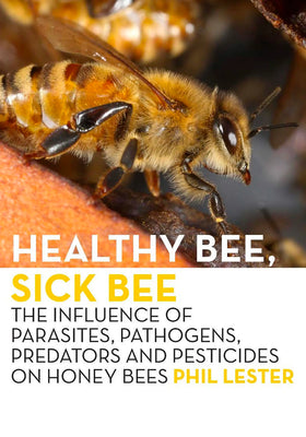 Healthy Bee, Sick Bee by Phil Lester