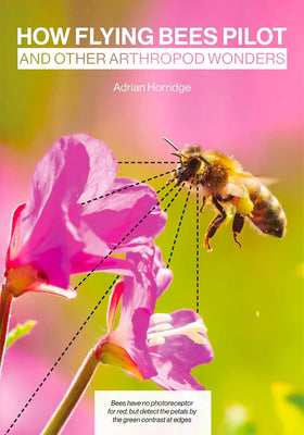 How Flying Bees Pilot by Adrian Horridge