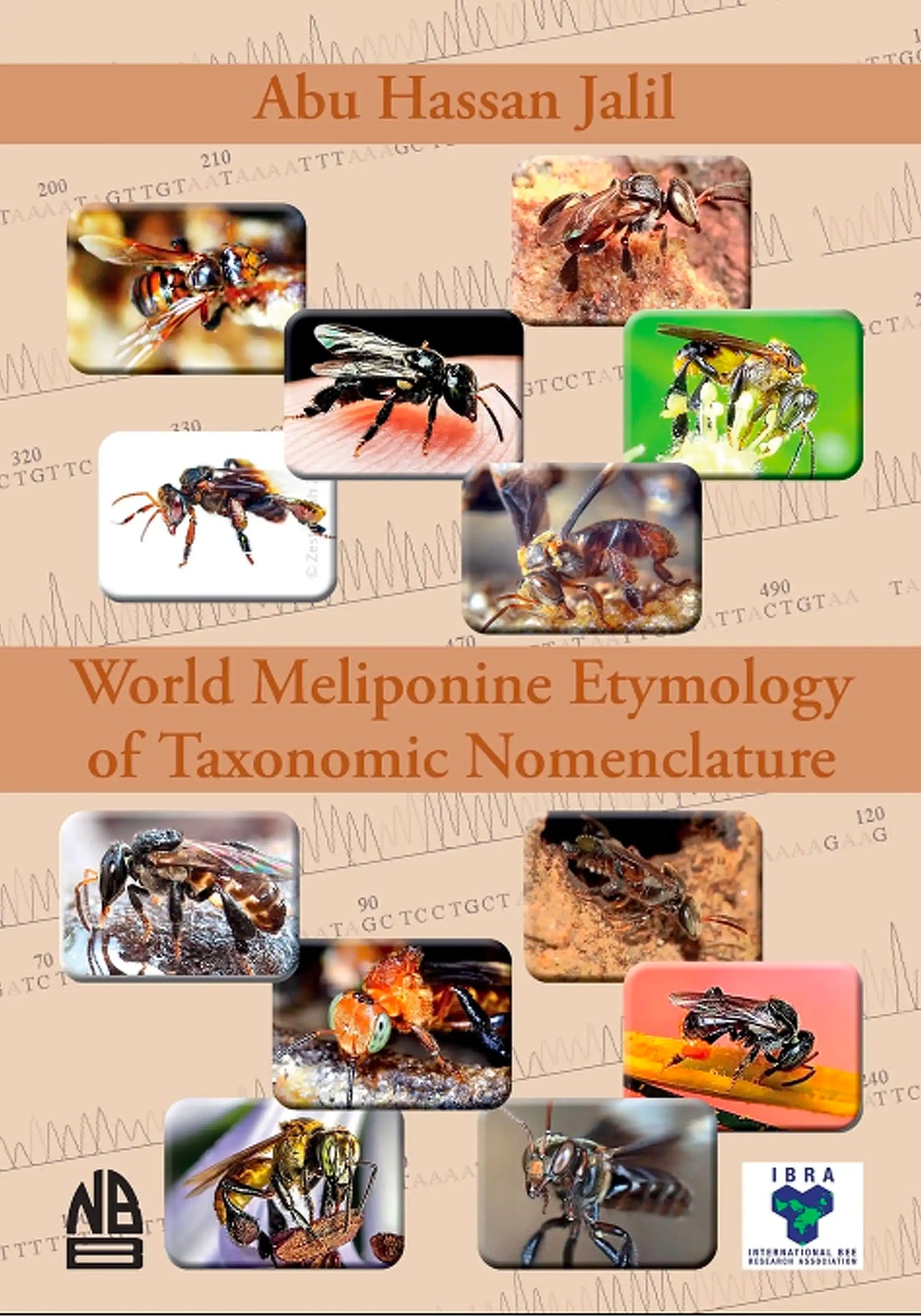 World Meliponine Taxonomy Nomenclature by Abu Hassan Jalil