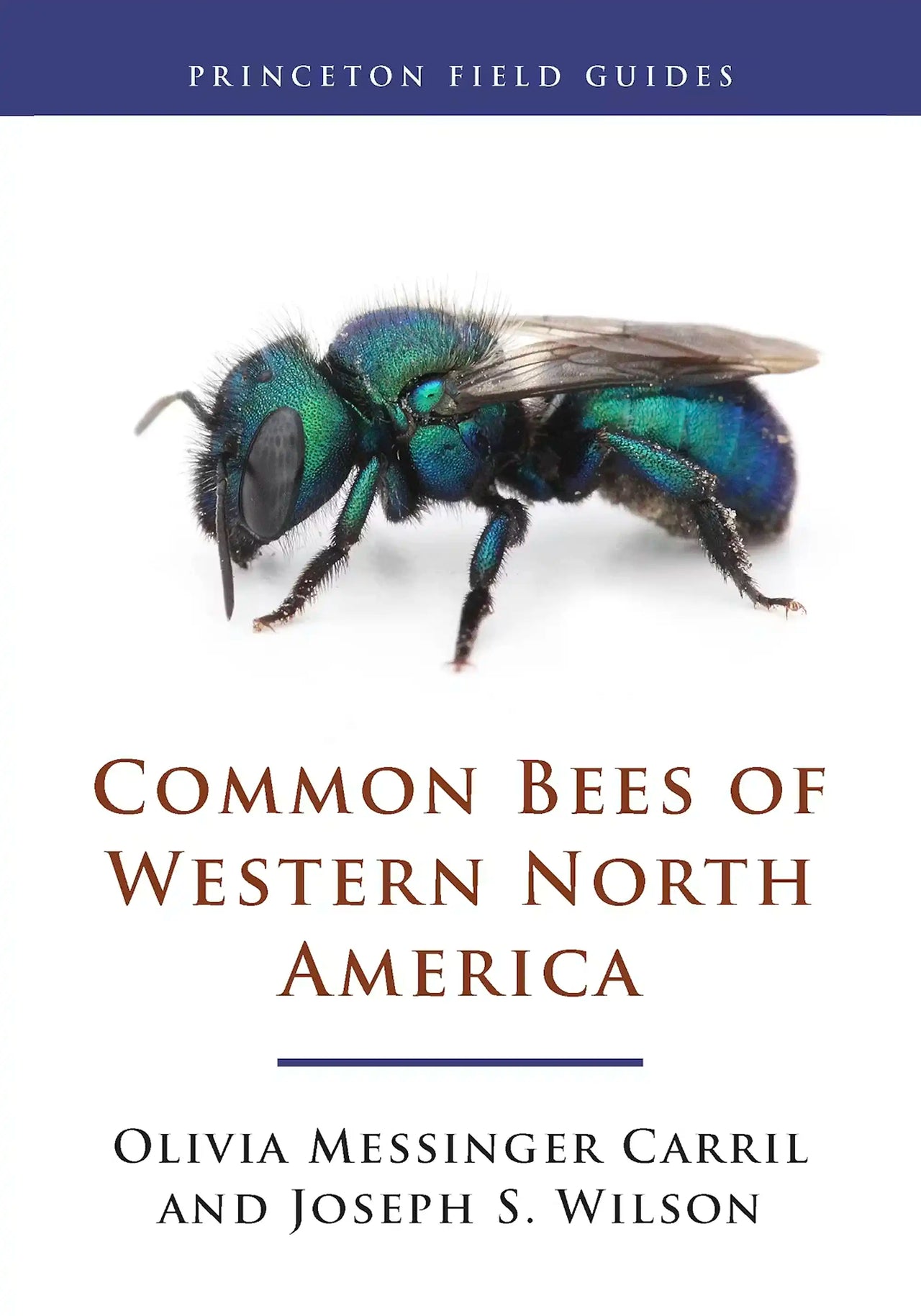Common Bees of Western North America by Olivia Messenger Carril & Joseph S. Wilson