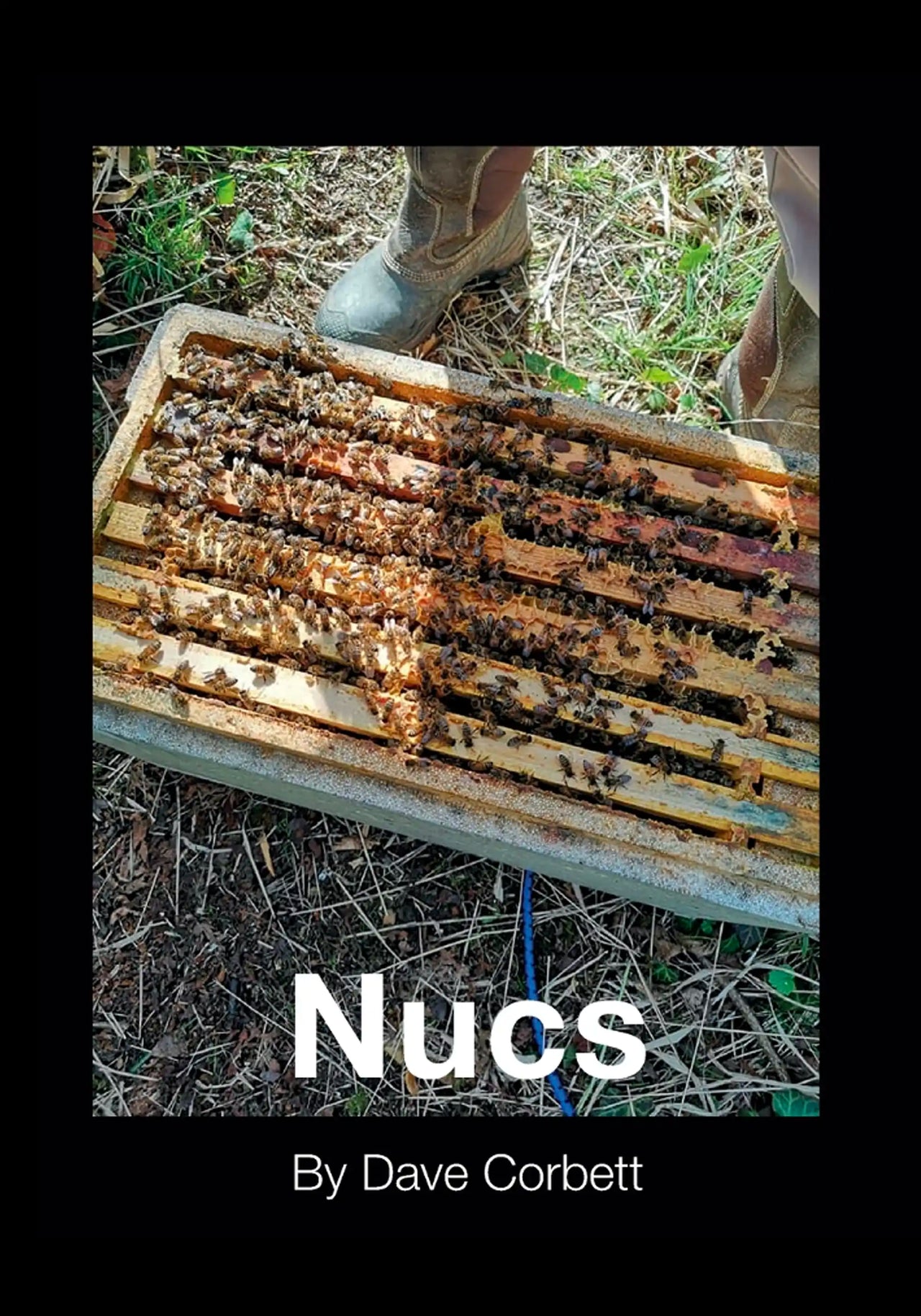 Nucs by Dave Corbett