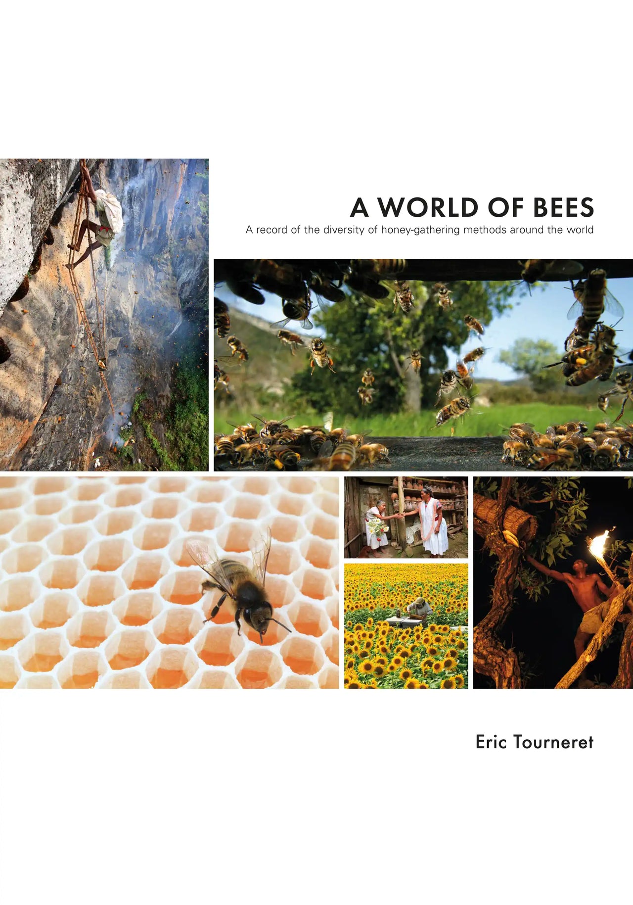 A World of Bees by Éric Tourneret