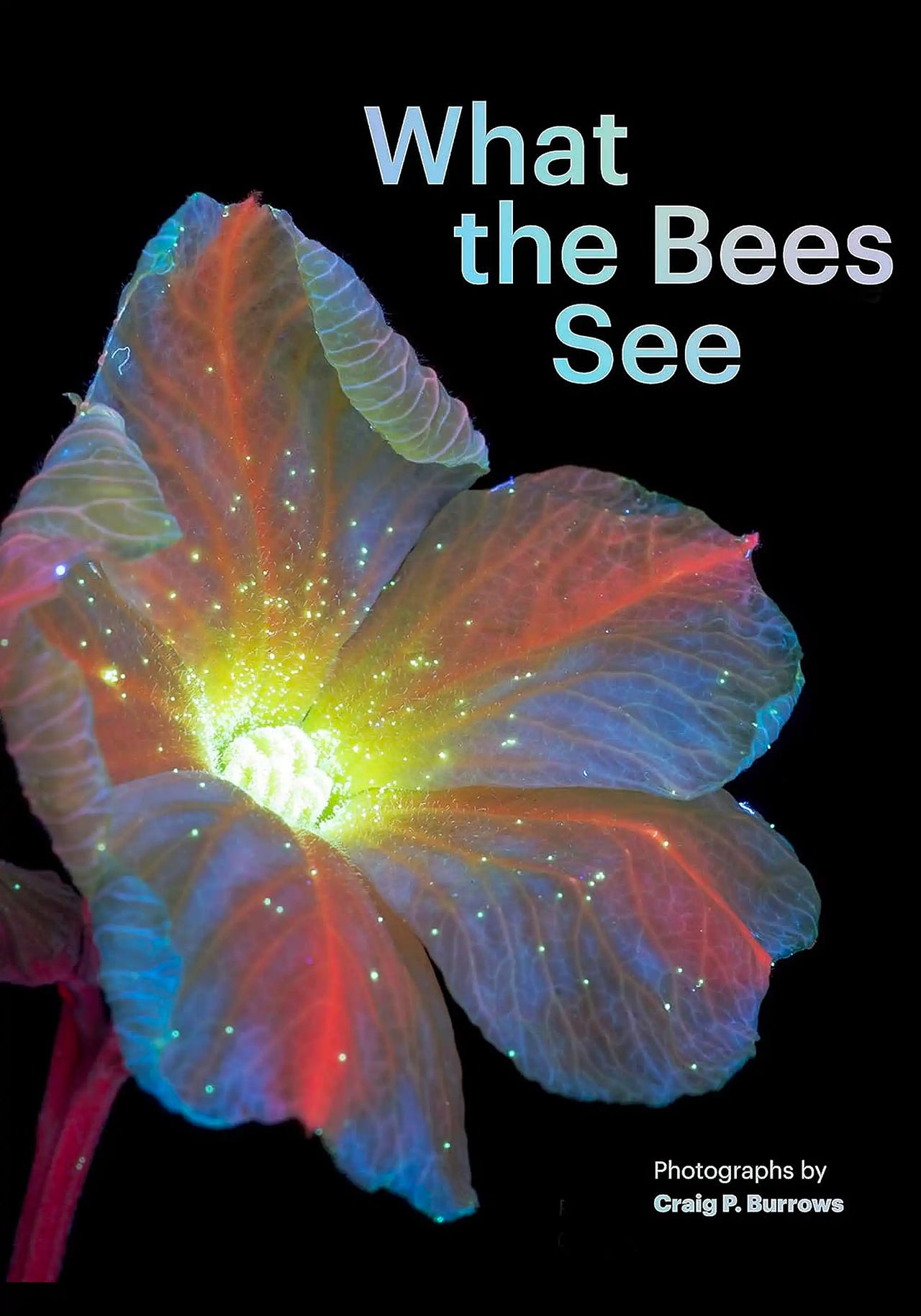 What The Bees See by Craig P. Burrows