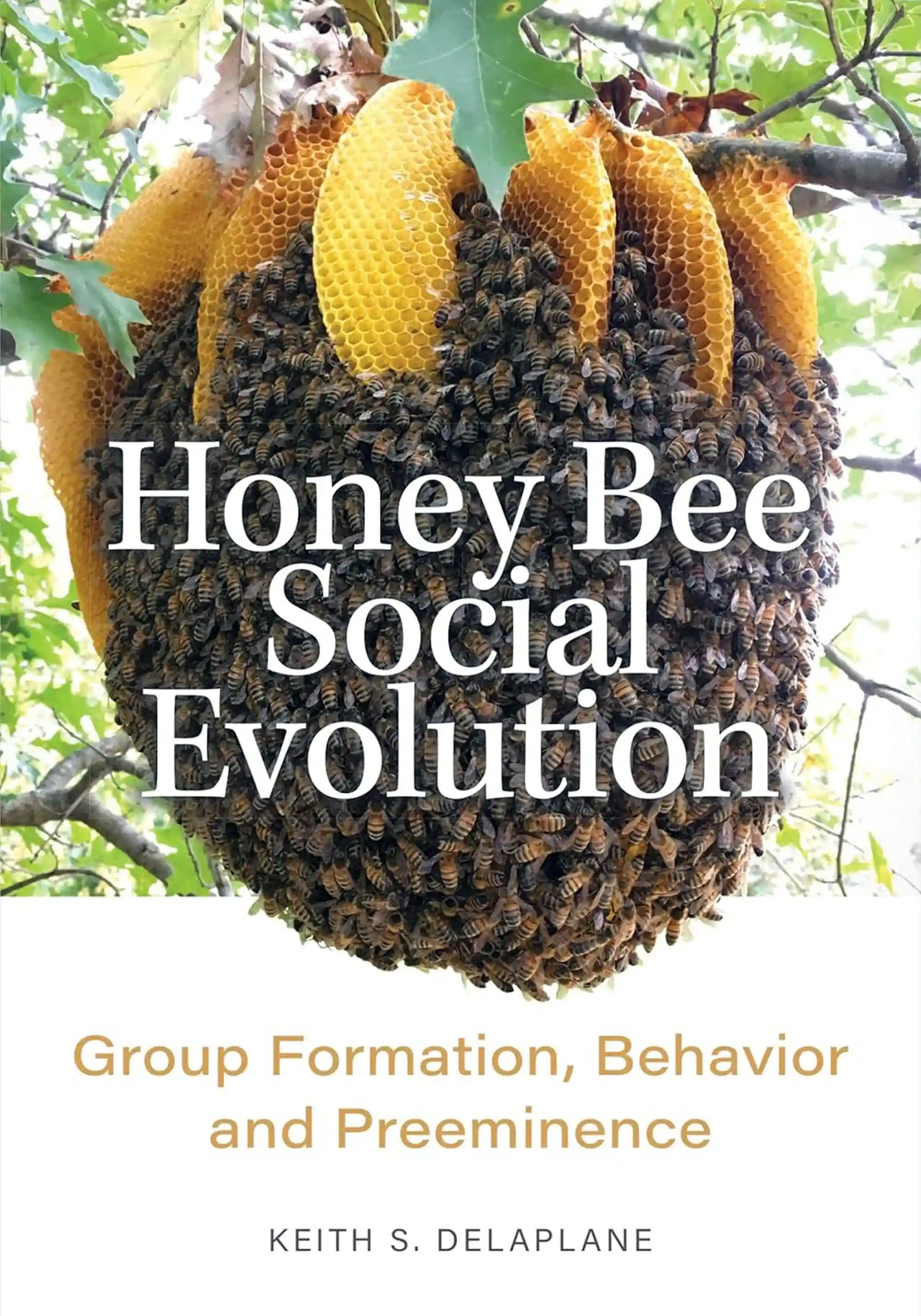 Honey Bee Social Evolution, Delaplane