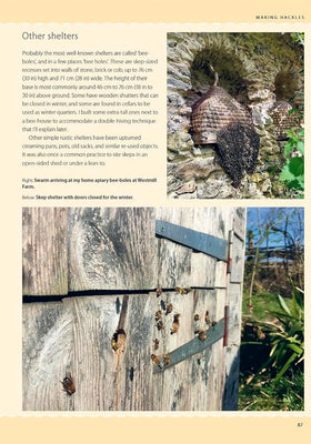 Bee-Skep Making by Chris Park