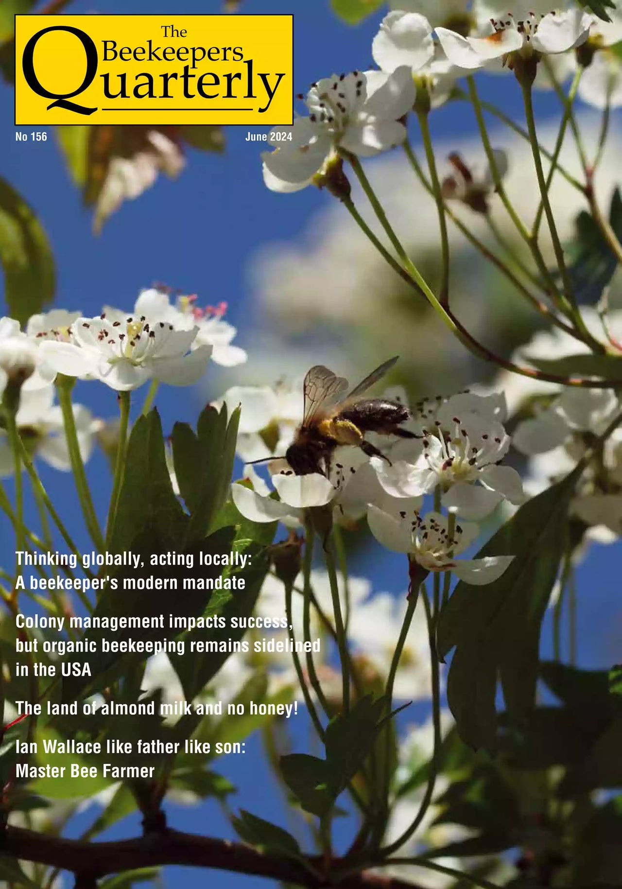 The Beekeepers Quarterly 156 – JUNE 2024