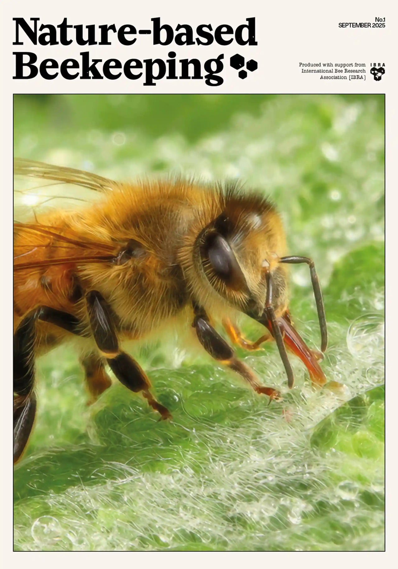 Nature-based Beekeeping